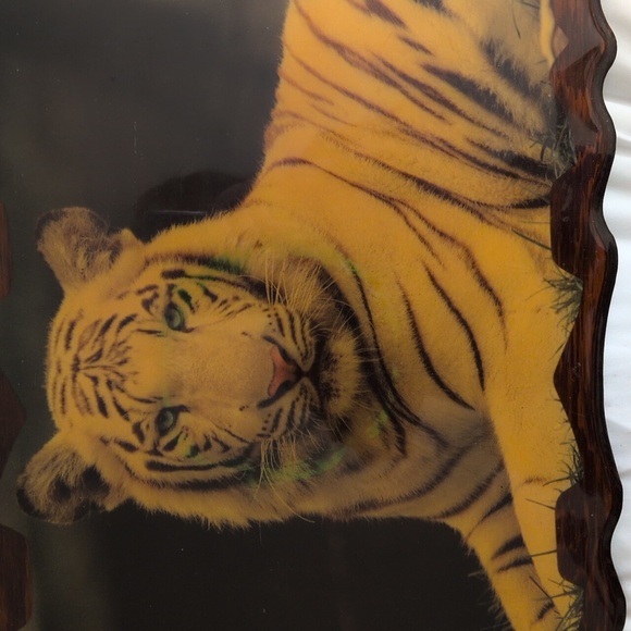 None Other - Gorgeous Large Wooden Tiger Plak with Sculpted Sides